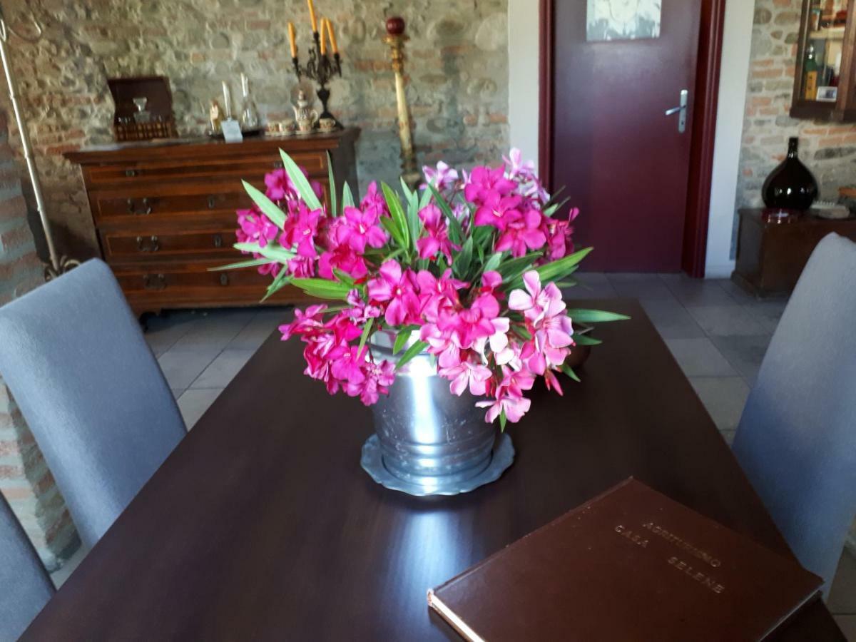 Casa Selene Rocchi Villa Savignano sul Panaro ภายนอก รูปภาพ